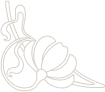 Flower decoration